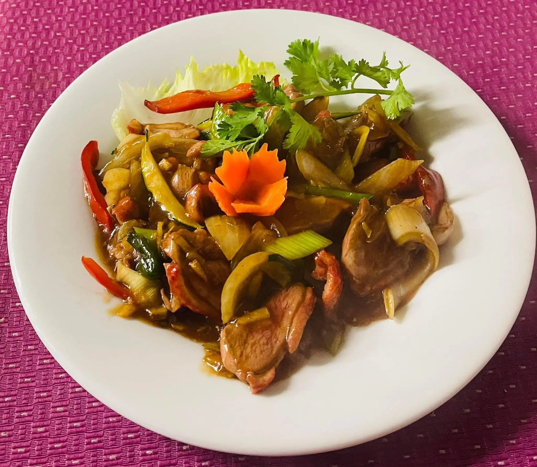 wok-2-asiatique-escale-dasie